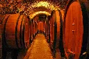 castellina4.webp