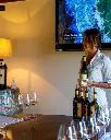 bolgheri exp3.webp