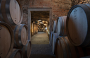 cellar.webp