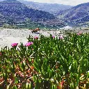 douro3.webp