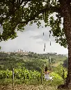 pietraserena7.webp