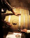 calicantus exp.webp