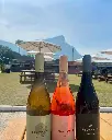 tekstura-wines-portugal.webp