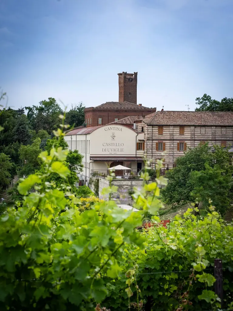 cantine-castello-di-uviglie-piedmont-italy.webp