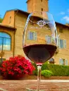 castello-di-razzano-wine-tasting-italy-piedmont.webp