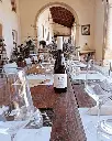 pegoraro exp3.webp