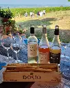 dosioexp1.webp