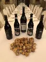 cascina-adelaide-wine-tasting-italy-piedmont.webp