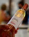 valetti exp3.webp