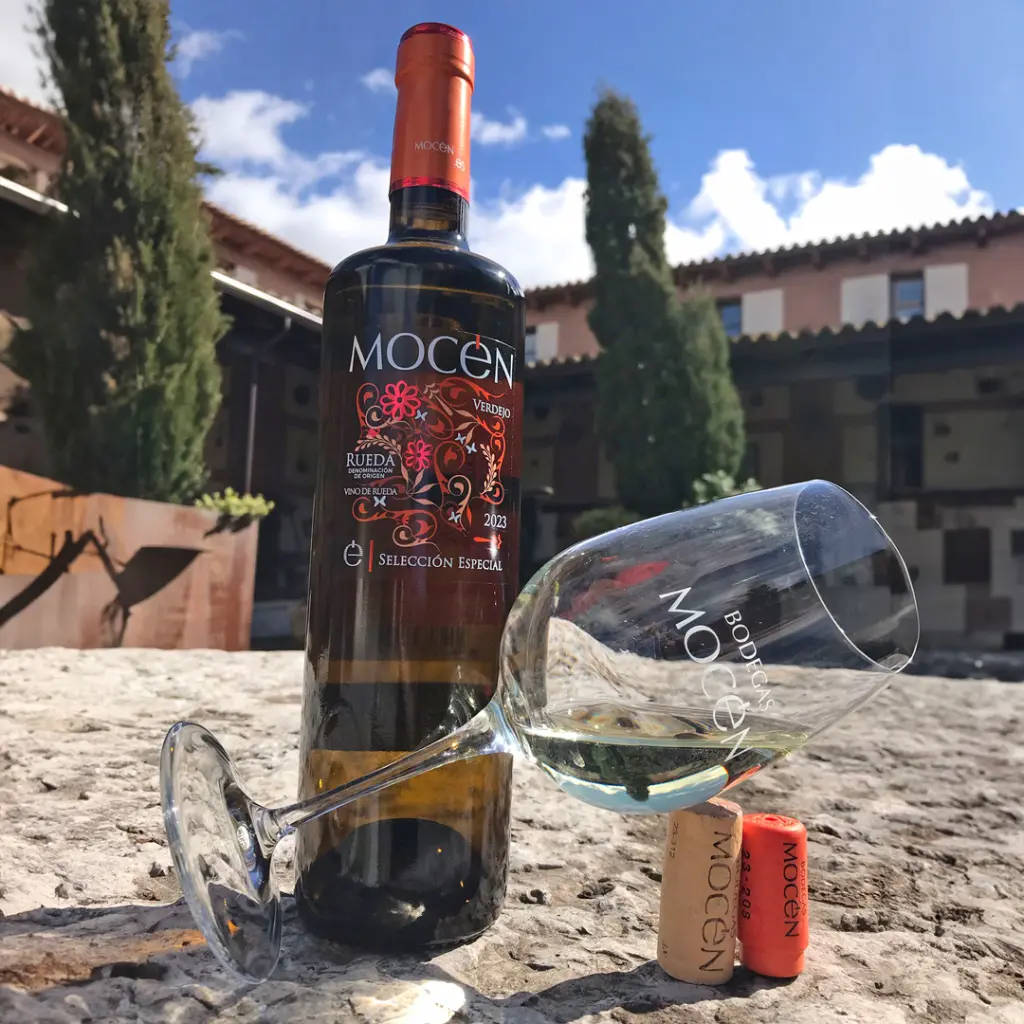 mocenexp5.webp