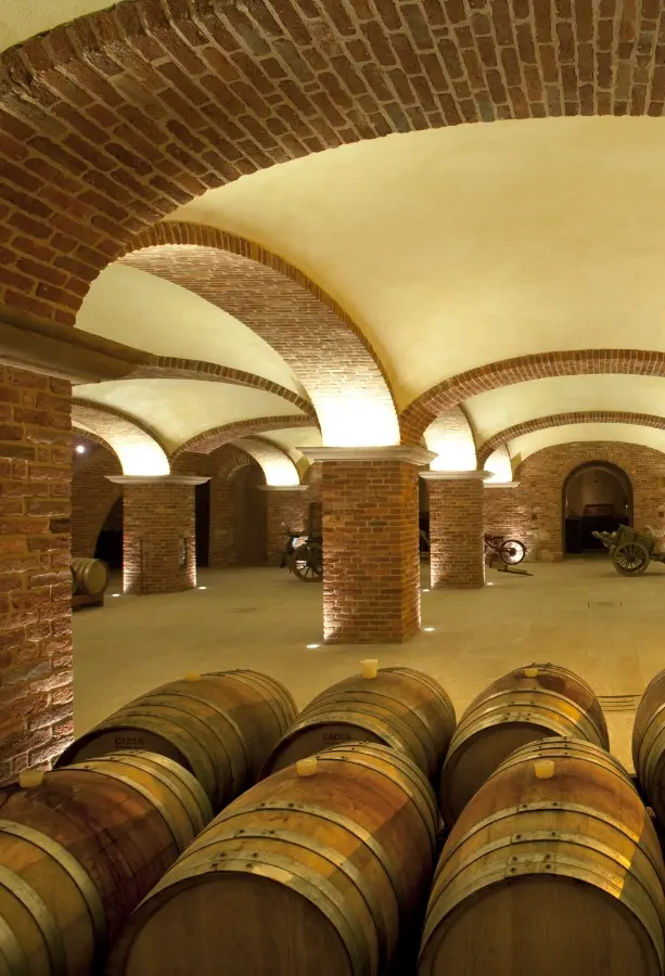 cantine-povero-barrel-room-italy.webp