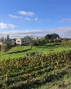 france-bordeaux-clos-vieux-rochers-winery.webp
