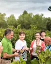 nadal exp3.webp