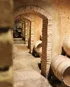 coca-i-fito-wine-cellar-catalonia-spain.webp