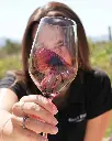 coca-i-fito-wine-tasting-catalonia-spain.webp