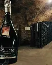 rovellats 360 exp4.webp