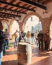 oriol exp2.webp