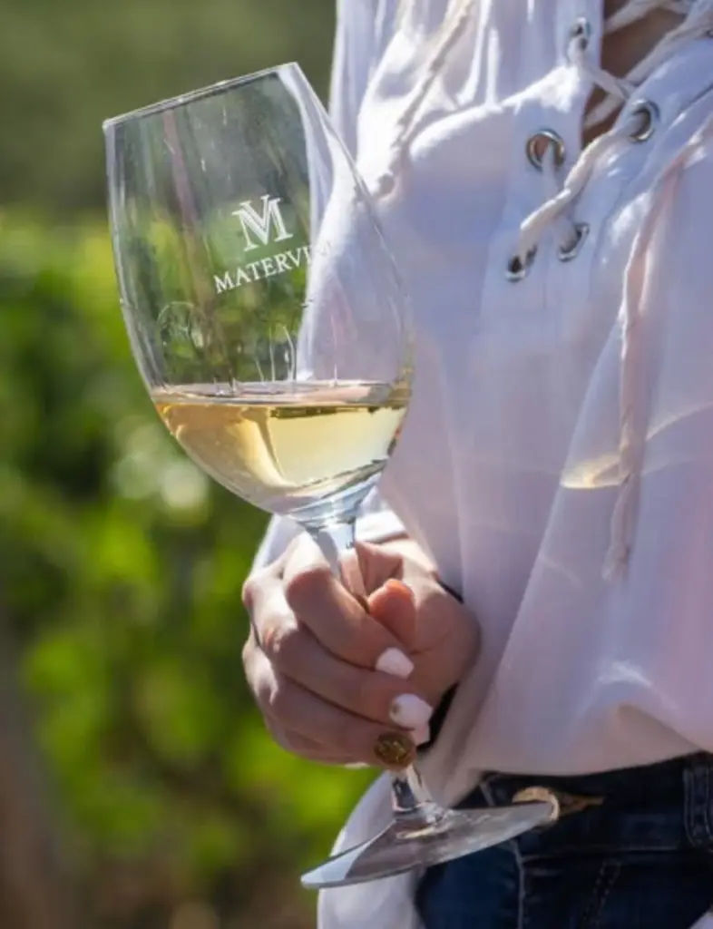 matervini-argentina-white-wine-tasting.webp