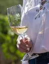 matervini-argentina-white-wine-tasting.webp