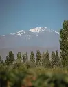argentina-mendoza-matervini.webp