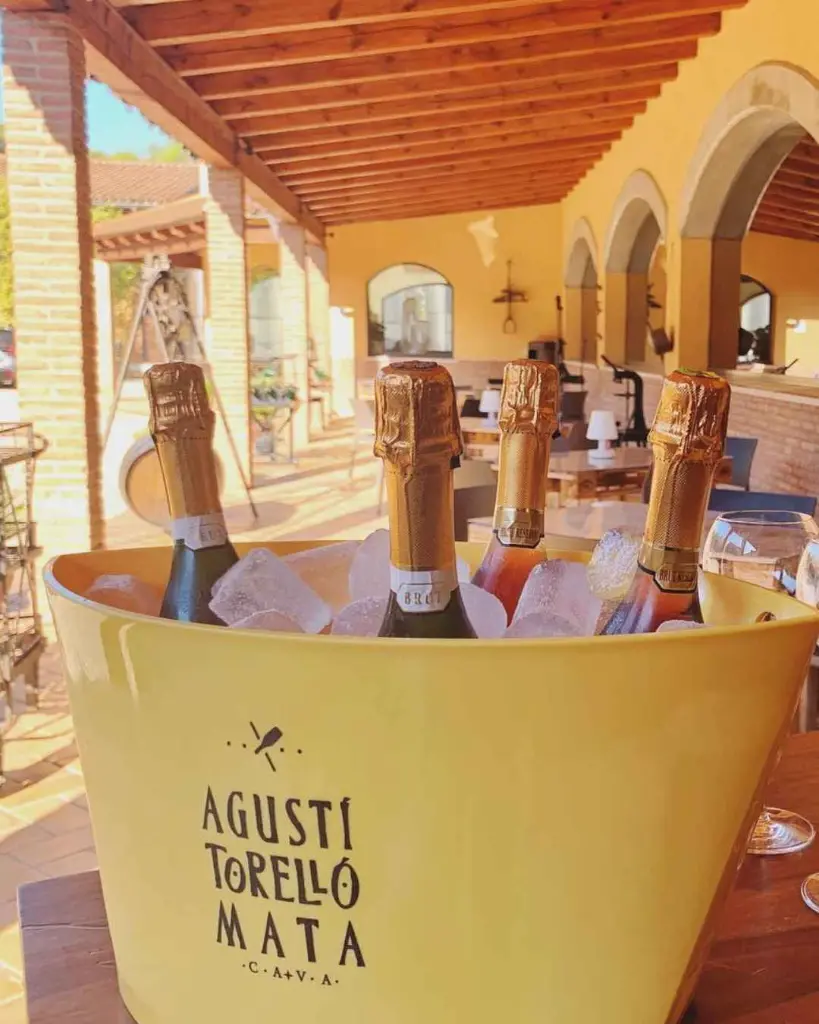 cellar-kripta-spain-reserva-tour-webp