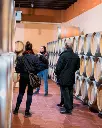 Clos Galena-cellar.webp