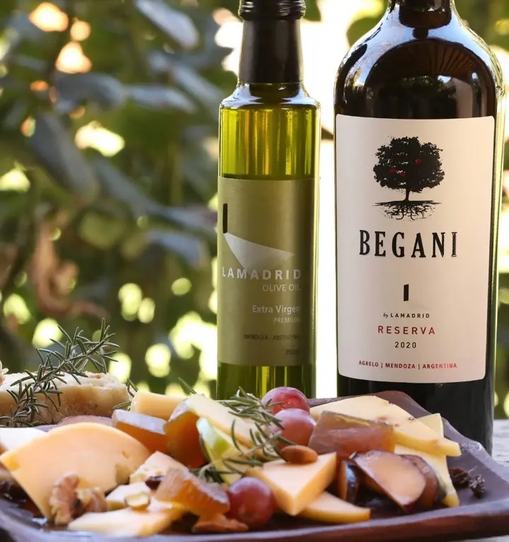 wine-tasting-with-local-food .webp