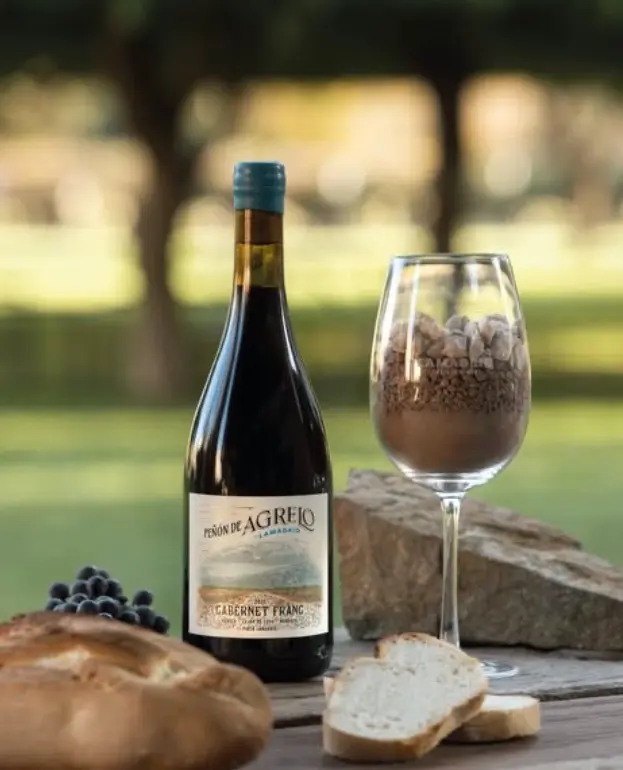 Lamadrid Cabernet Franc with local food.webp