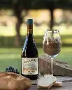 Lamadrid Cabernet Franc with local food.webp