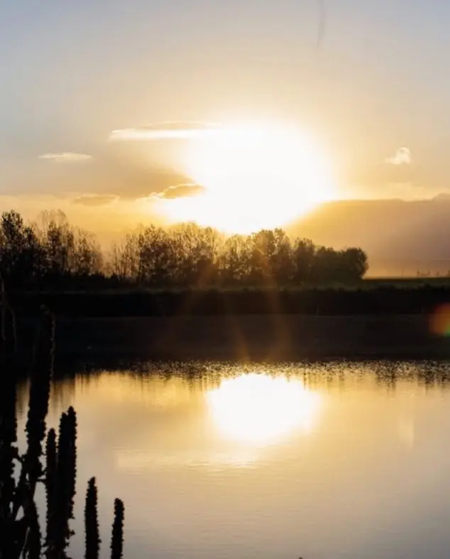 view-from-winery-lamadrid .webp