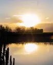 View from winery Lamadrid .webp