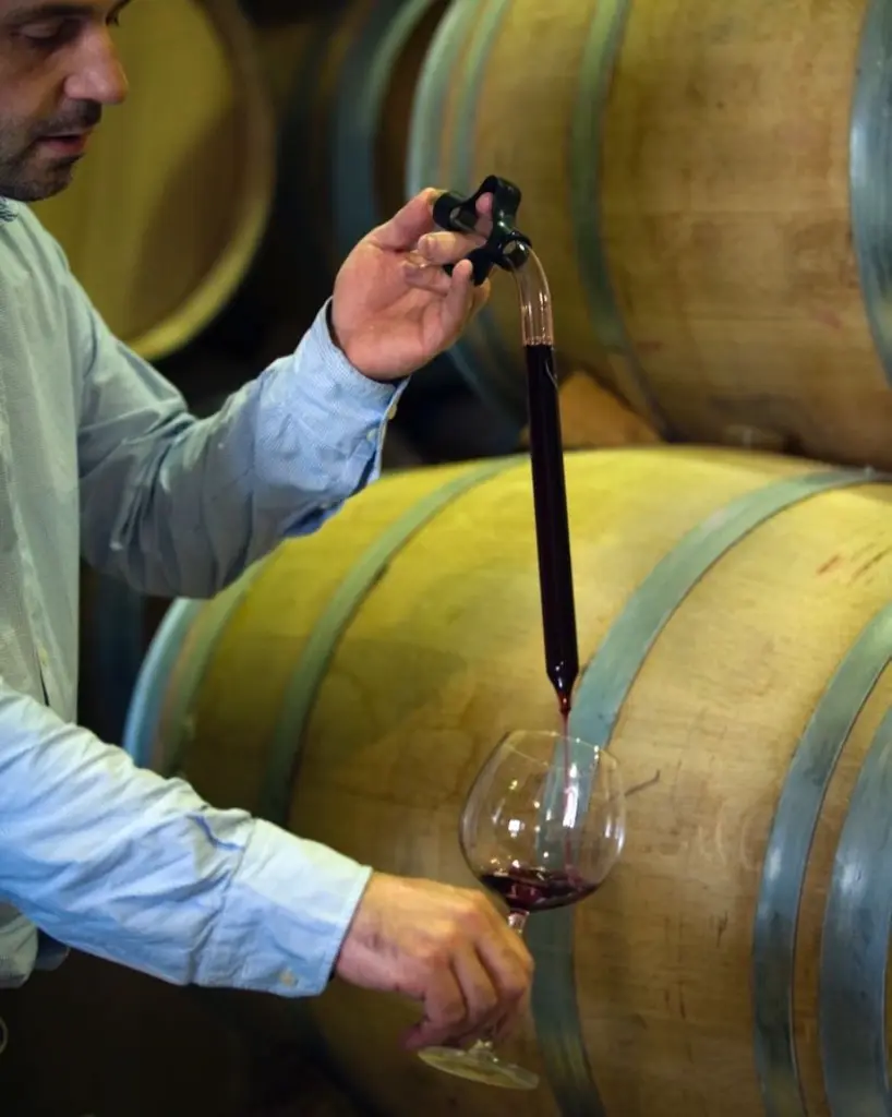 cellar wine from a barell.webp