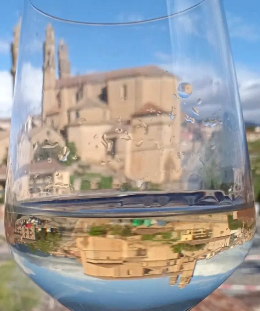 diez.tasting white wine with a viewjpeg.webp