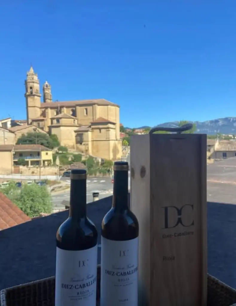 rioja alavesa diez caballero wine .webp