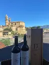 rioja alavesa diez caballero wine .webp