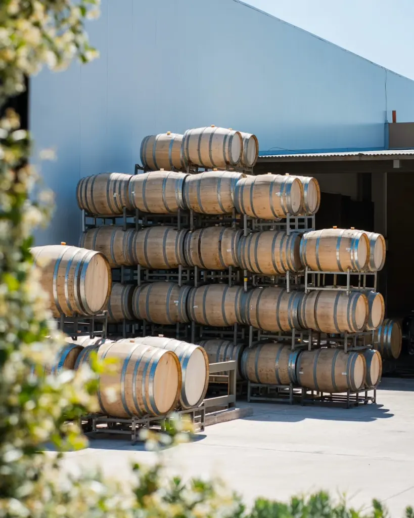 martino-wine-tour-barrels.webp