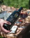 martino wine tour 3.webp