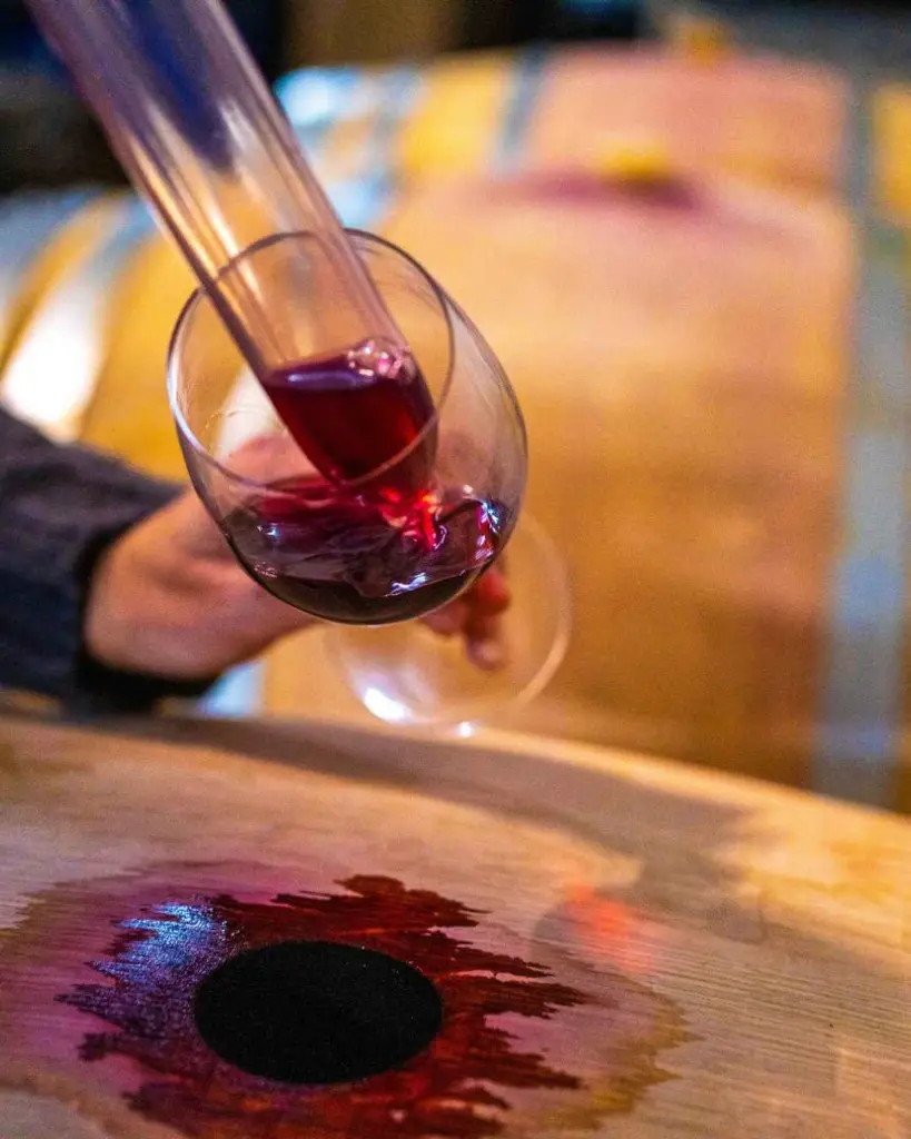 mas bertran, experience8.webp