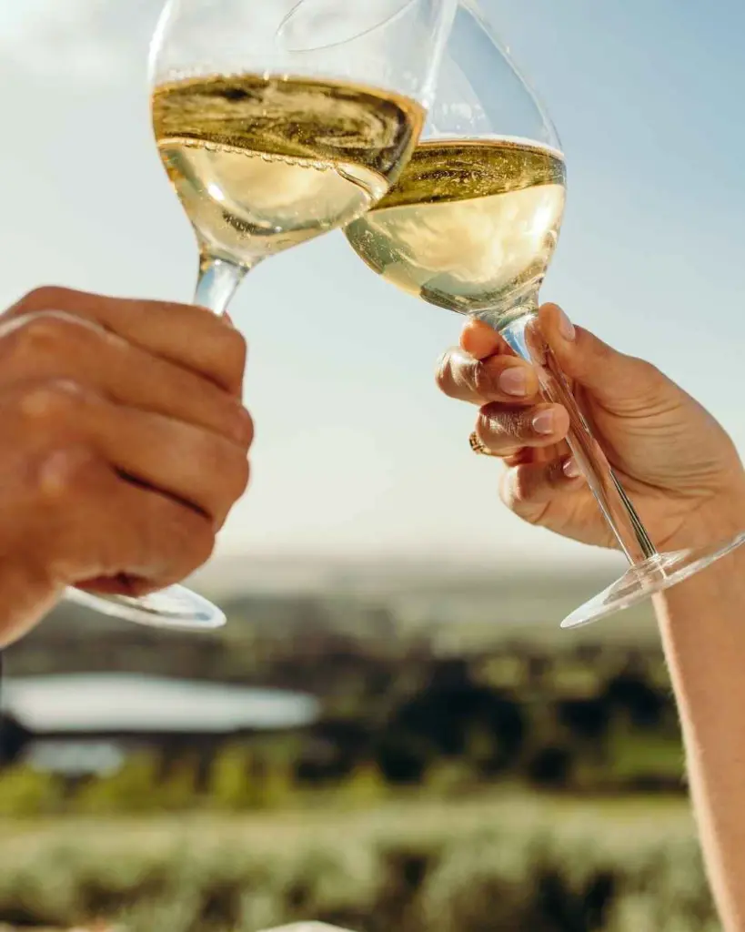 mas bertran, picnic3.webp