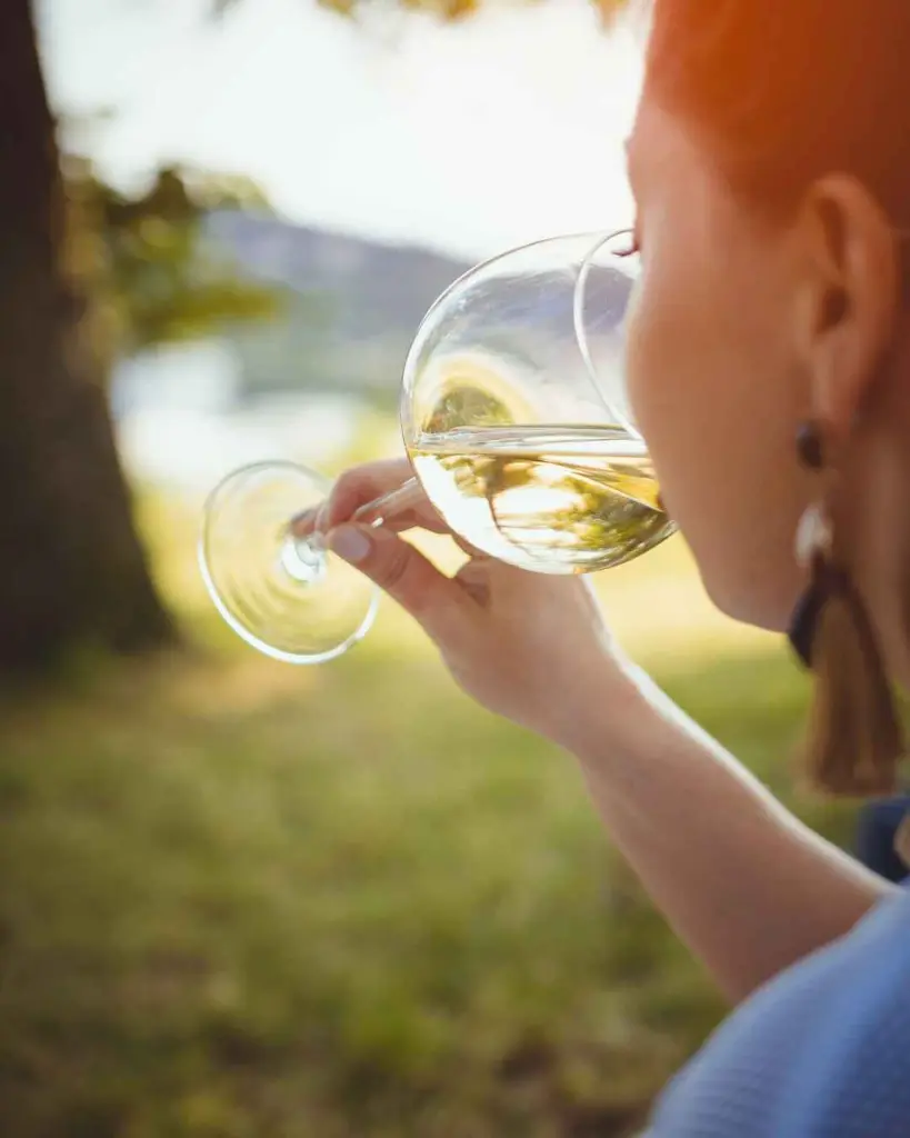 mas bertran, picnic4.webp