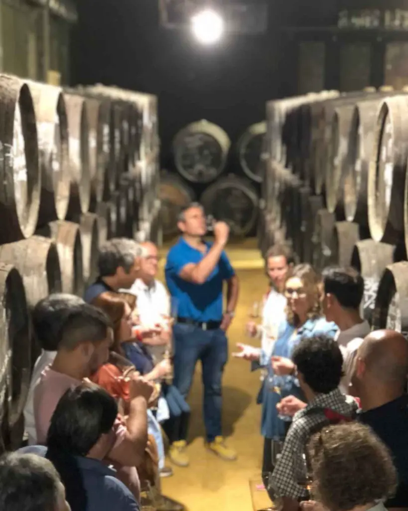 bodegas toro albala, experience2.webp
