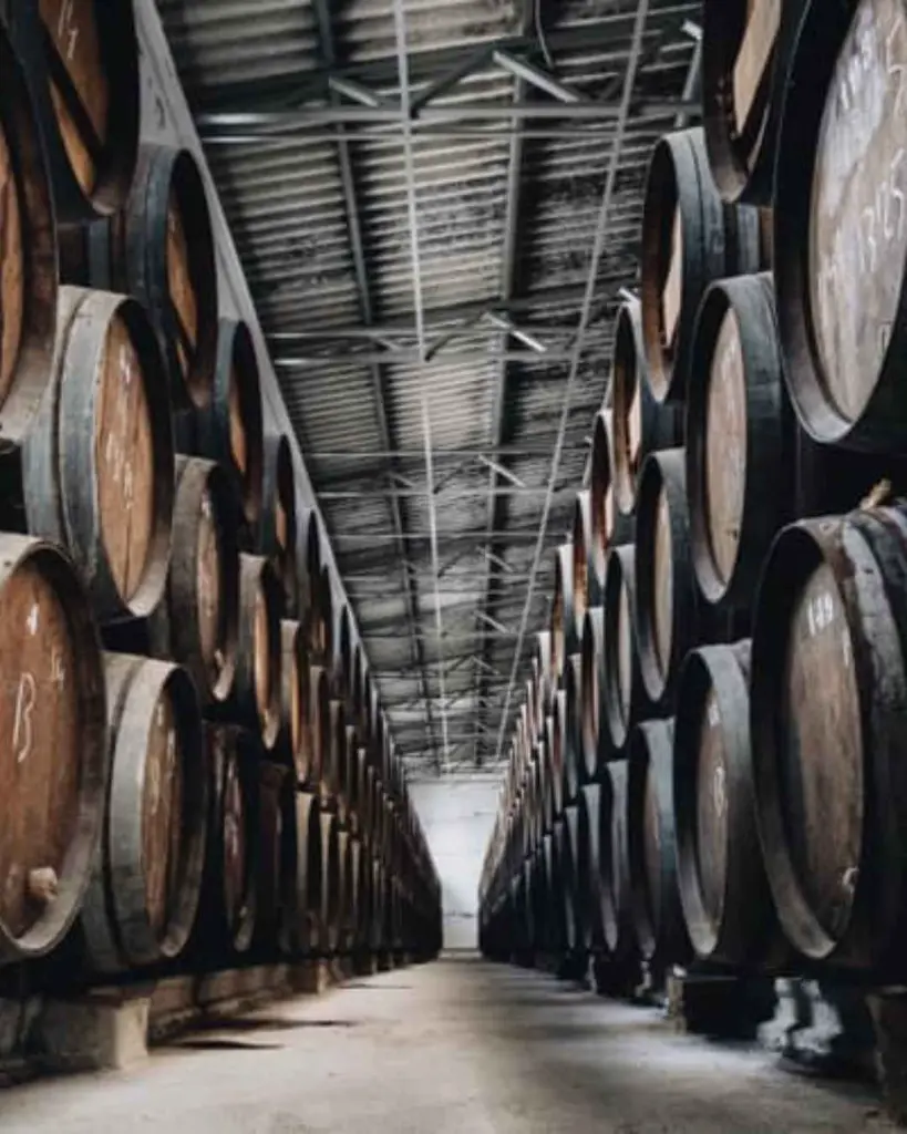 bodegas toro albala, experience9.webp