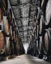 bodegas toro albala, experience9.webp