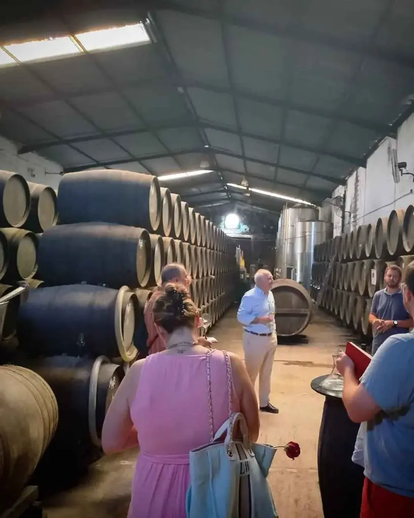 Bodega Manuel Aragon, experience3.webp