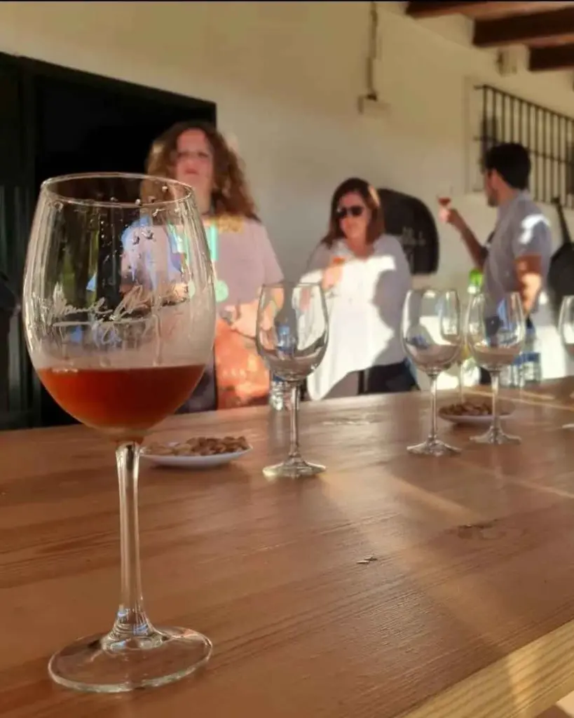 Bodega Manuel Aragon, experience4.webp