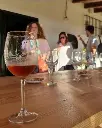 Bodega Manuel Aragon, experience4.webp
