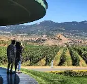 vivanco view .webp