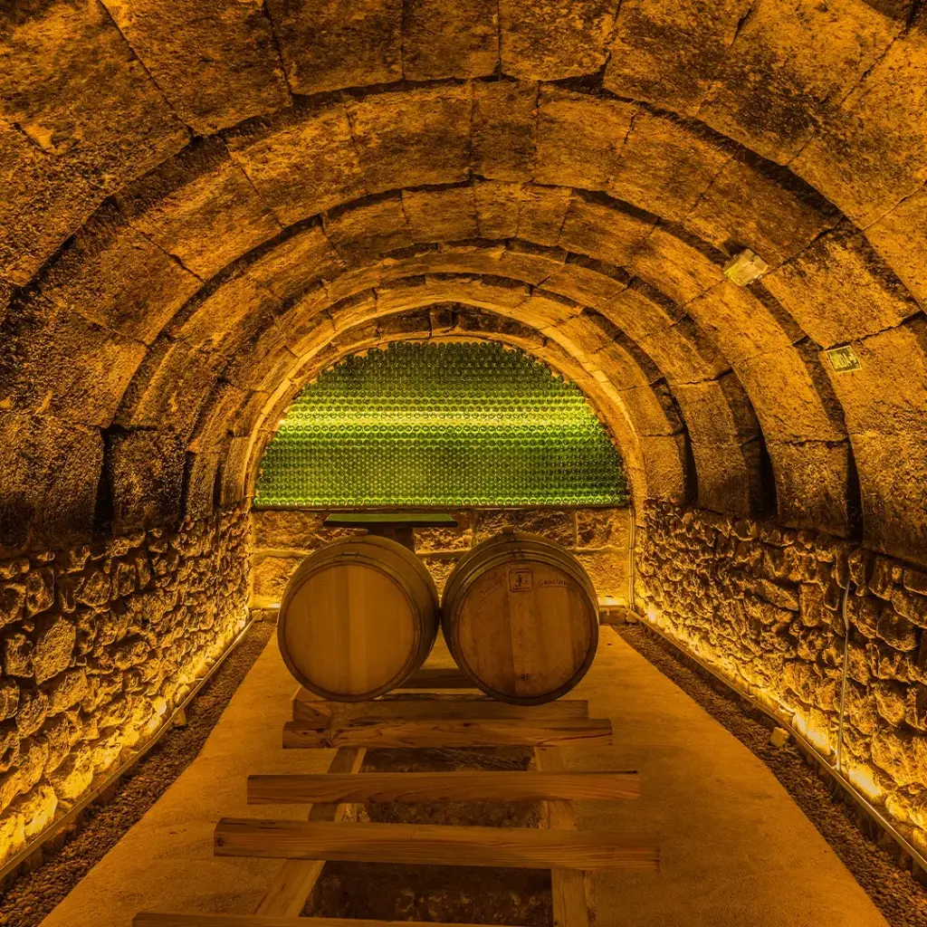 tritium cellar.webp