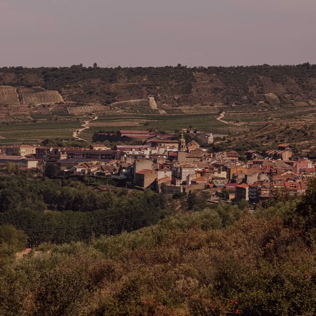 landscape tritium.webp