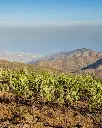 bodegas La Divisa, experience3.webp